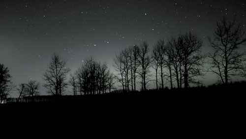 stars at Elk Island Park 1