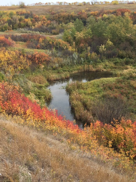 demo image-near Saskatoon