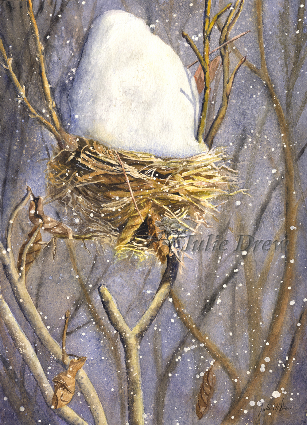 Empty Nest, watercolor by Julie Drew
