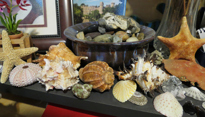 Treasures of the Sea on Julie's Desk