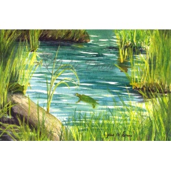 Turtle Pond - Original