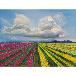 tulip-fields_1100w