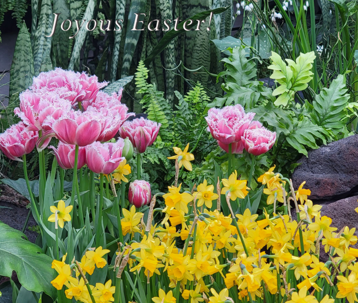 From Winter to Spring: Happy Easter!