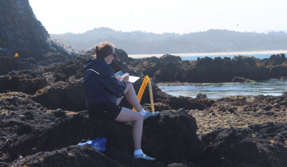 Sketching en plein air on the Oregon Coast