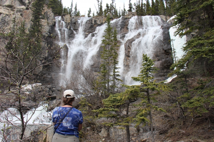 Sketching Tangle Falls, Jasper